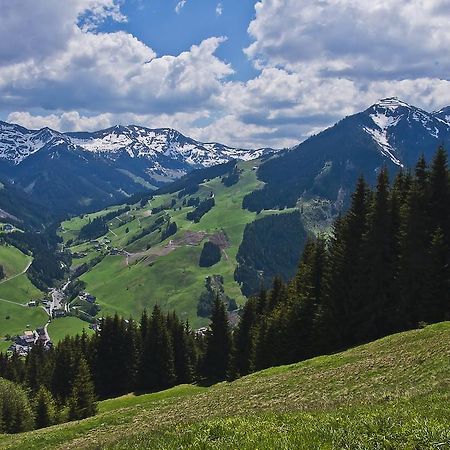 Sporthotel Dr. Karl Renner Hinterglemm Saalbach-Hinterglemm Exterior foto